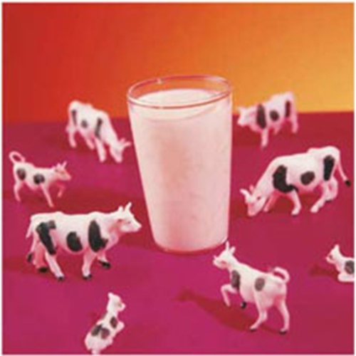 โรคแพ้โปรตีนนมวัว.....น่ากลัวกว่าที่คิด