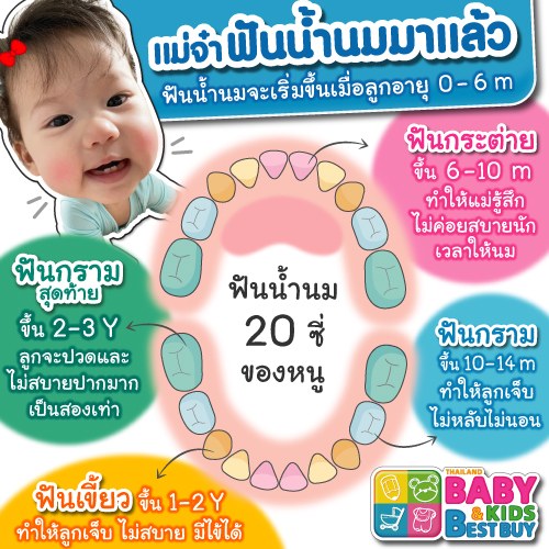 แม่จ๋า ฟันหนูขึ้นแล้ว !!