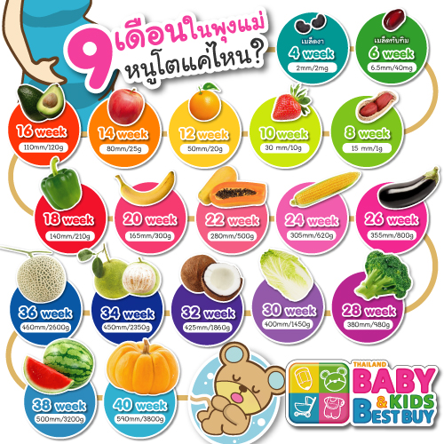 คุณแม่อยากรู้มั้ย ตอนอยู่ในท้อง หนูโตและหนักแค่ไหน ?!