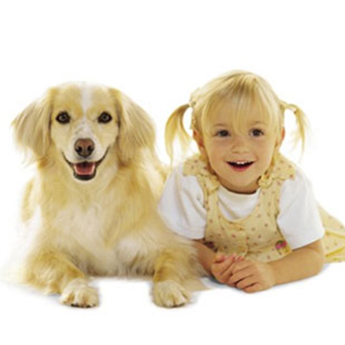 เลี้ยงสุนัขพันธ์ไหนดี..ถ้ามีเด็กในบ้าน 